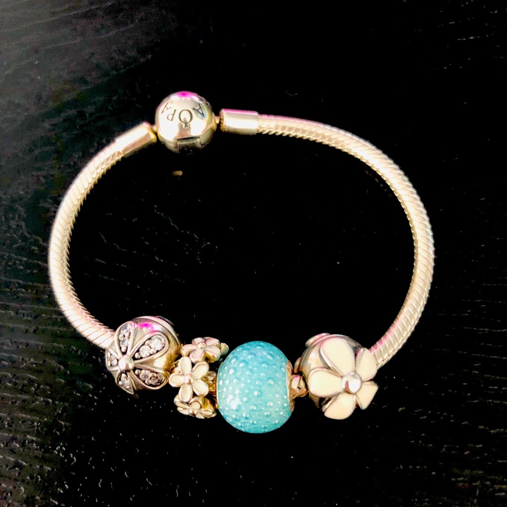 Pandora Moments Snake Chain Bracelet with 4 Charms